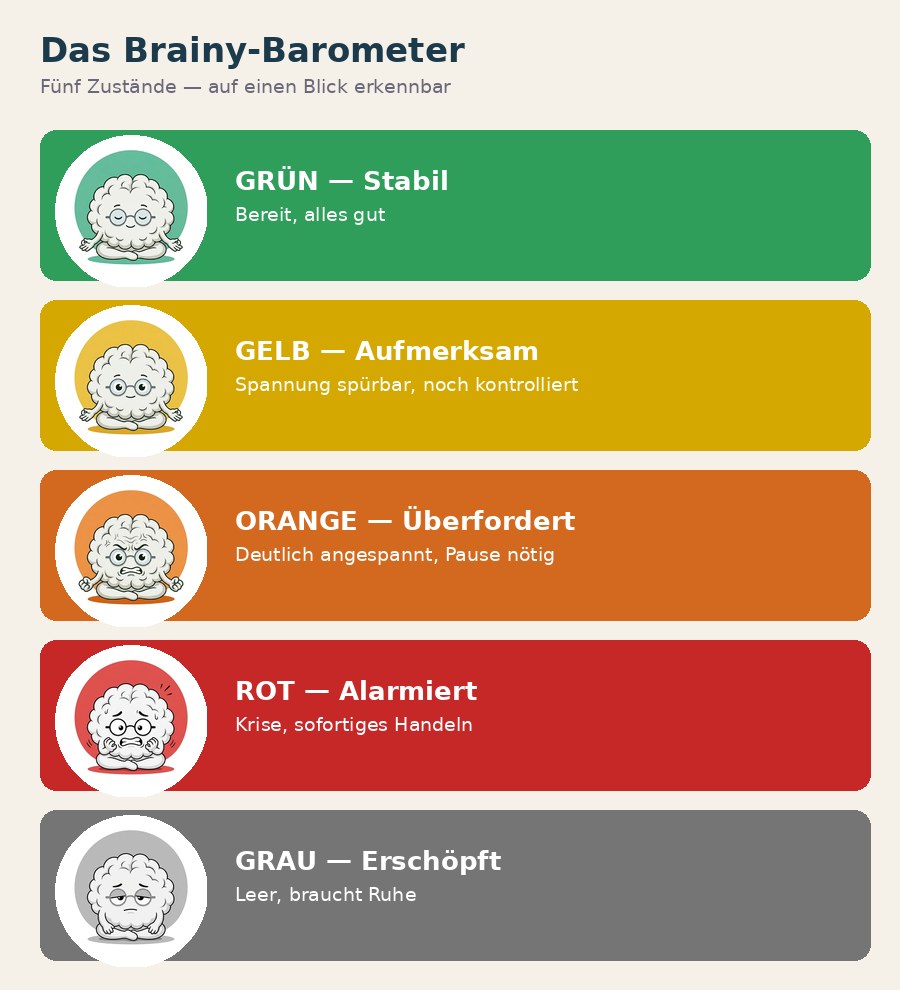 Brainy Barometer Übersicht — Kind und Erwachsene